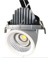 30W Ø16,5cm Downlight - Hull: Ø15,5 cm, Mål: Ø16,5 cm, 3100lm, Justerbar vinkel