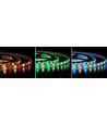 5m 12W/m RGB+WW LED-strip - 12V, IP65, 60 LED pr. meter