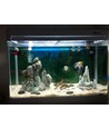 Profilé alu aquarium étanche 1 mètre 16W - 24V DC, 10000K, IP65, avec connecteur
