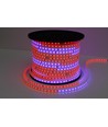 5m 12W/m RGBIC LED-strip - 230V, IP65, 60 LED's per meter