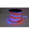 Ruban LED RGBIC 5m 12W/m - 230V, IP65, 60 LED par mètre