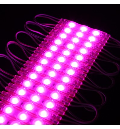 1,1W per stuk Waterdichte roze LED-module - 12V DC, IP66, perfect voor borden en speciale oplossingen