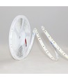 5m 12W/m LED-strip RA97 - 24V DC, IP20, 120 LED pr. meter
