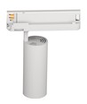 Spot sur rail LED Philips 30W triphasé RA90 - 100 lm/W, 36 degrés, Blanc