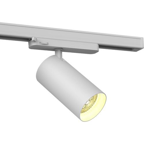 Spot sur rail LED Philips 30W triphasé RA90 - 100 lm/W, 36 degrés, Blanc