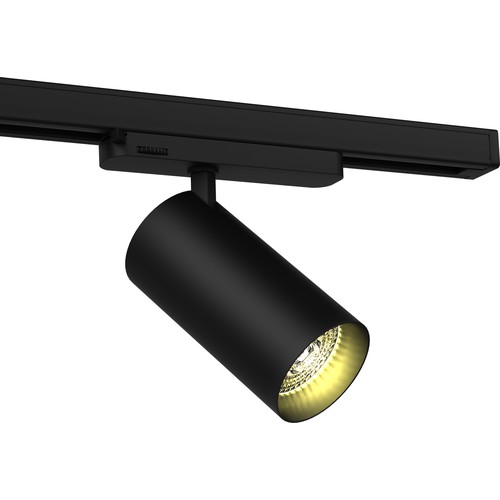 Spot sur rail triphasé 30W RA90 - 100 lm/W, 36 degrés, Noir, Philips LED