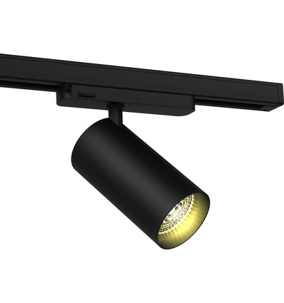 Spot sur rail triphasé 30W RA90 - 100 lm/W, 36 degrés, Noir, Philips LED