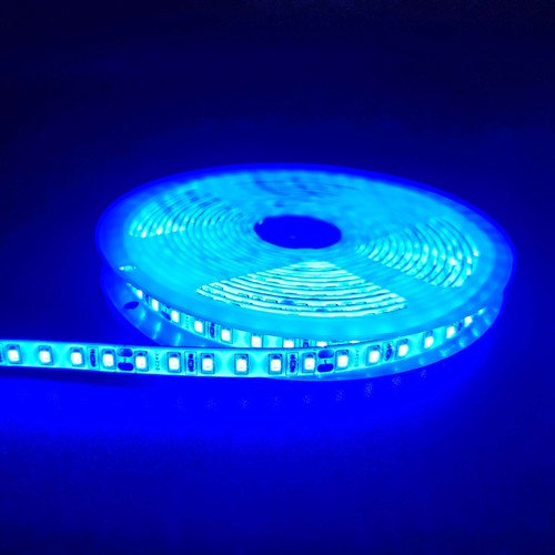 5m 10W/m Blauwe LED strip - 24V DC, IP65, 120 LED's per meter