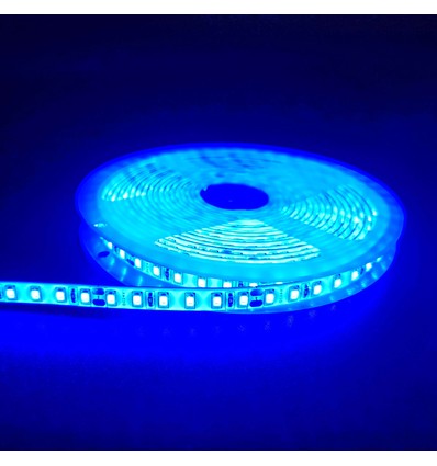 5m 10W/m Blå LED-strip - 24V DC, IP65, 120 LED per meter