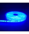Ruban LED bleu 5m 10W/m - 24V DC, IP65, 120 LED par mètre