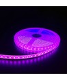 5m 10W/m Roze LED-strip - 24V DC, IP65, 120 LED's per meter