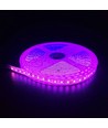 5m 10W/m Roze LED-strip - 24V DC, IP65, 120 LED's per meter