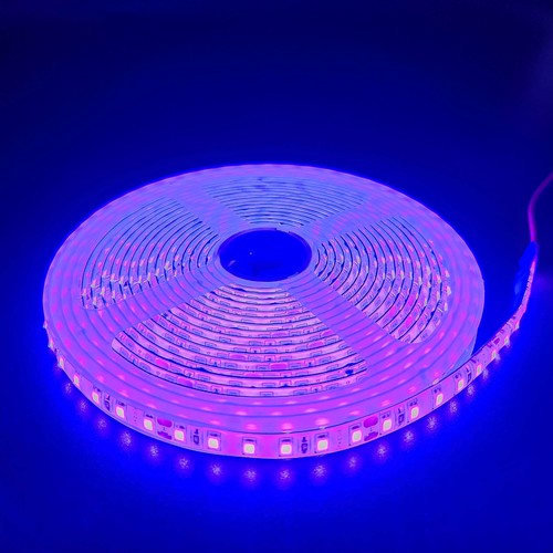 Ruban LED Violet 5m 10W/m - 24V DC, IP65, 120 LED par mètre