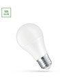 24V, E27 LED pære, 10W  - AC/DC, Spectrum