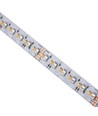 LED Stripe 20W - 5m 3535/2216 24V RGBW CCT, 96LED/1m, 1m (Rull 5m), uten Silikon
