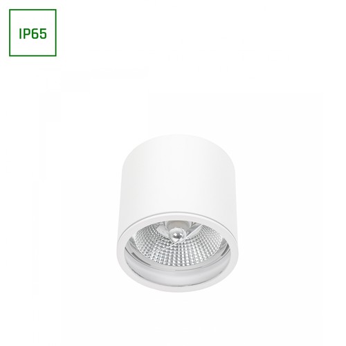 Spot Chloe AR111 GU10 en saillie - IP65, blanc/noir, sans source lumineuse, montage plafond, intérieur / extérieur