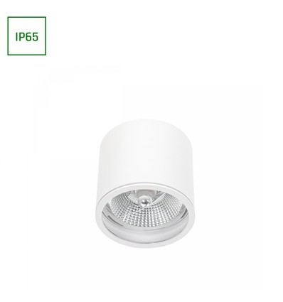 Chloe AR111 GU10 påbygningsspot - IP65, hvit/sort, uten lyskilde, takmontert, inne / ute