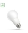 Ampoule LED E27 7W - A60