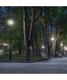E27 36W LED-lampa - 360°, frostat glas