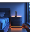 Outlet: Bloemenvase met LED-licht Binnen/buiten - Zwart, dimbaar, IP54 buiten