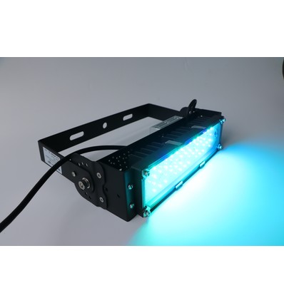 LEDlife Avlslampe 50W LED - For avl av BSF / soldatfluer, IP65, 3 års garanti