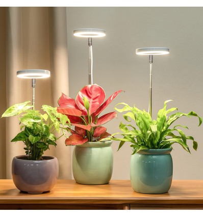 LEDlife vekstlys med spyd - 12W, timer,  justerbar høyde, dimbar