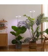 LEDlife plantlicht met pin - 12W, timer, dimbaar, verstelbare hoogte