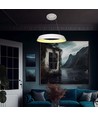 48W dimbare LED designer kroonluchter - Wit, zacht licht, warm wit