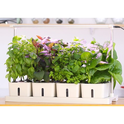 LEDlife hydroponische plantenbak - Wit, incl. groeilamp, 20 plaatsen, 4x2L watertank