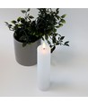 Bougie LED 20cm, effet flamme, blanc - Ø5cm, télécommande, minuterie, véritable cire