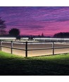 5m 10W/m vanntett LED-stripe (Type X-2) - 230V, IP67, 1300lm/m