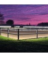 25m LEDlife rijbakstrip op haspel - 230V, IP67, 180 LED/m, 11W/m