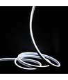 9W par mètre Blanc froid 8x16 CLIP-ON Neon Flex LED - 230V, IP67