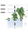 Potager hydroponique LEDlife - Blanc, avec lampe de croissance, 10 emplacements, minuterie, 2,8L