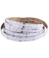 5m 24W/m RGB+WW COB-LED strip - 24V DC, IP20, 840 LED's per meter, COB LED