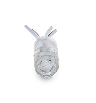 Module 5050 - 0,24W, bleu, IP68