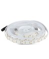 Bande LED 360 Leds 30W/m - 6400K, IP20, 5m/rouleau