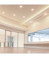 6W LED COB Hotel Downlight, RA95 - CREE chip, sølv reflektor, justerbar, indbygningsspot