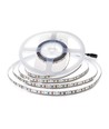 Bande LED 120 LED 8W/m - 4000K, IP20, 24V, double PCB (10m/rouleau)