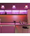 5m 11W/m rød LED-strip - 12V, IP20, 60 LED pr. meter, 5050 SMD