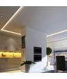 5m 24W/m RGB+CCT LED strip - 24V DC, RGB+2700-6500K, IP65