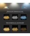 5m 24W/m RGB+CCT LED strip - 24V DC, RGB+2700-6500K, IP65