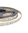 Bande LED 120 - 14W/m, CCT 3 en 1, IP65, 24V