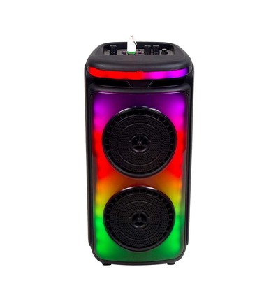 Enceinte Rechargeable 400W - 1 Micro Fil, Poignée de Contrôle RF, 2x6,5 Pouces