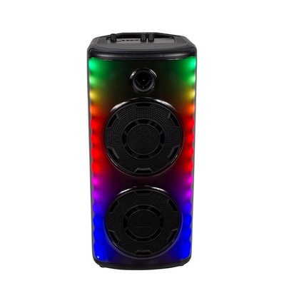 600W oplaadbare speaker - 1 draadloze microfoon, RF bedieningshandgreep, 2x8 inch