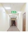 Noodverlichting 4-in-1 ophanging - EXIT bord, zelftestknop, wand/plafond/draadophanging, 6000K
