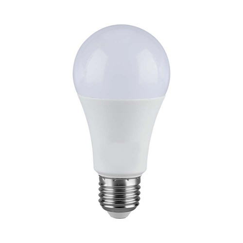Ampoule LED E27 17W - A65, 3000K, blanc chaud, IP20 intérieur