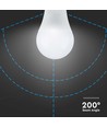Ampoule LED E27 17W - A65, 3000K, blanc chaud, IP20 intérieur