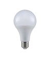 Ampoule LED E27 20W - A80, 120lm/W