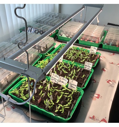 Kit de croissance LEDlife Pro-Grow 2.0 - 2 x 90 cm, 30W LED, spectre complet